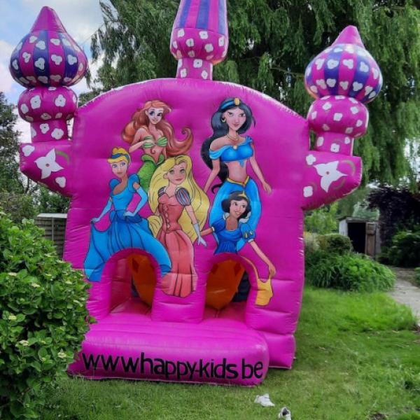 Prinses Hindernisbaan 8,5m x 3,2m 
